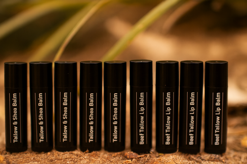 10-Pack Lip Balm Bundle (5g each)