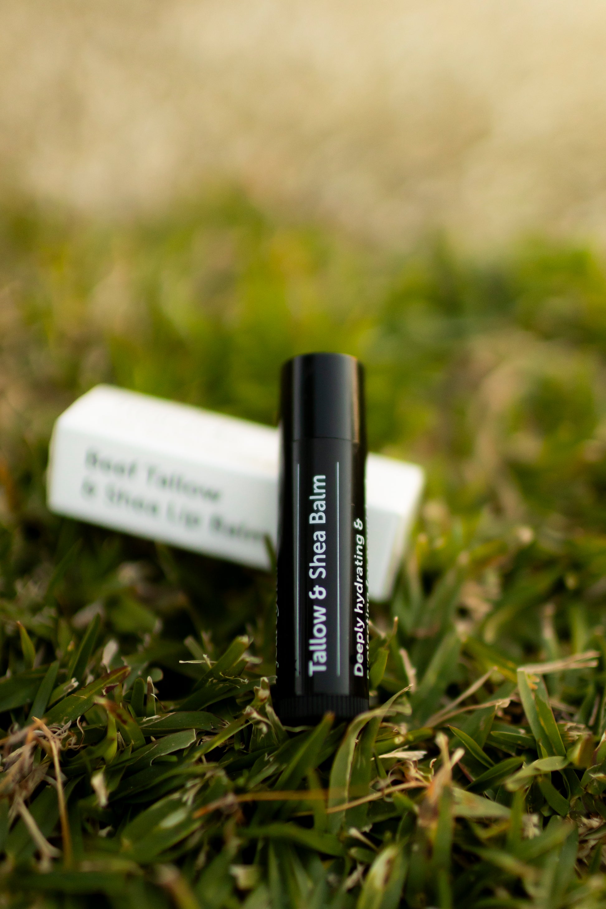 Beef Tallow & Shea Lip Balm (5g)